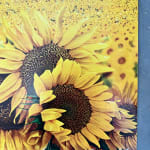 Joe Webb collage artist Heaven And Earth Sunflower Galaxy turner art perspective Essex Art Gallery