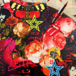 Steve Rawlings, Artist, Lady Stardust, Pop Art, Legends, Colour, Hollywood, Film star, Turner Art Perspective, Essex Chelmsford Art Gallery