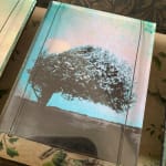 Vintage wooden story box with three images of photographed trees