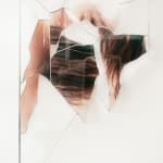 Ryan Van Der Hout, the soft disorder, 2024