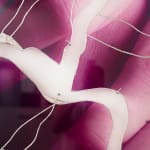 Ry Van Der Hout, Stress Test, 2021