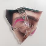 Ryan Van Der Hout, the soft disorder, 2024