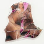 Ryan Van Der Hout, the soft disorder, 2024