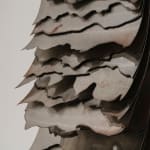 Ryan Van Der Hout, the soft disorder, 2024