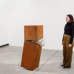 Tulio Pinto, Complicity #47, 2022