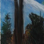 a drawing of a tree