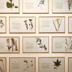 Laura Garbštienė, Aklos žinutės / Blind messages, 2005