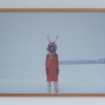 Laura Garbštienė, Aklos žinutės / Blind messages, 2005