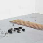 Anastasija Sosunova & Andrea Zucchini, Lėti Debatai / Slow Debates, 2018