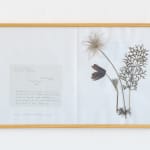 Laura Garbštienė, Aklos žinutės / Blind messages, 2005