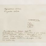 Laura Garbštienė, Aklos žinutės / Blind messages, 2005