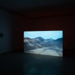 Geistė Marija Kinčinaitytė, Untitled (Wound), 2019 - 2020