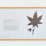 Laura Garbštienė, Aklos žinutės / Blind messages, 2005