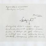 Laura Garbštienė, Aklos žinutės / Blind messages, 2005