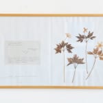 Laura Garbštienė, Aklos žinutės / Blind messages, 2005