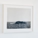 Geistė Marija Kinčinaitytė, Untitled (Wound), 2019 - 2020