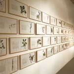 Laura Garbštienė, Aklos žinutės / Blind messages, 2005