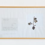 Laura Garbštienė, Aklos žinutės / Blind messages, 2005