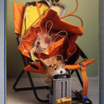 Thumbnail of additional image