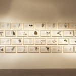 Laura Garbštienė, Aklos žinutės / Blind messages, 2005