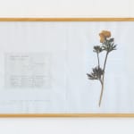 Laura Garbštienė, Aklos žinutės / Blind messages, 2005