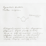 Laura Garbštienė, Aklos žinutės / Blind messages, 2005