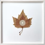 Susanna Bauer, Moon.85 , 2005