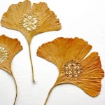 Susanna Bauer, Moon.85 , 2005