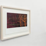 Andrew Mackenzie, Within Trees, 2025