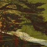 Andrew Mackenzie, Within Trees, 2025