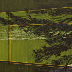 Andrew Mackenzie, Woodland structure II, 2025