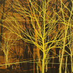 Andrew Mackenzie, Within Trees, 2025