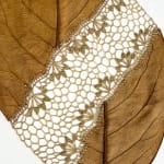 Susanna Bauer, Moon.85 , 2005