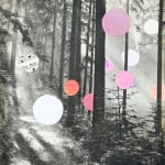 Sue Williams A'Court art for sale