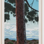 Jake Longstreth, L.A. Pines #4