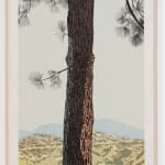 Jake Longstreth, L.A. Pines #4