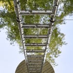 Yayoi Kusama, Ladder to Heaven, 2024