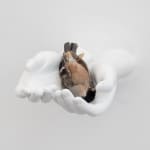 Elmgreen & Dragset, Still Life (Bullfinch), 2024