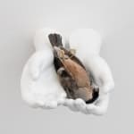 Elmgreen & Dragset, Still Life (Bullfinch), 2024