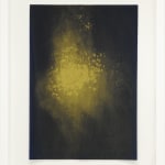 Nick Fox, Love’s Sigh 6 , 2012