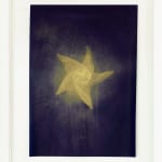 Nick Fox, Love’s Sigh 6 , 2012