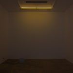 Amy Yao, Self-portrait, 2016