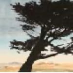 Sean Cavanaugh, Monster in the Church Yard, 2019