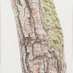 Sean Cavanaugh, Monster in the Church Yard, 2019
