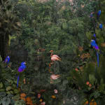 Nadia Attura, Kew Lagoon