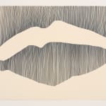 Lisa Dredge, Soft Landing