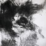 Sharyn Wortman, Unfamiliar Terrain, 2025