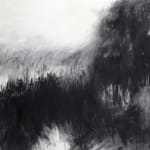 Sharyn Wortman, Unfamiliar Terrain, 2025