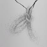 Detail of Graphite on paper drawing of two harsh lines standing out from the soft background.