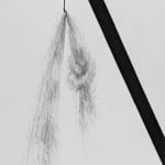Detail of Graphite on paper drawing of a slanted line with two downturned feathers sprouting from it.